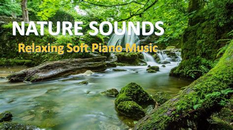 beautiful soft music|soft and calming music.